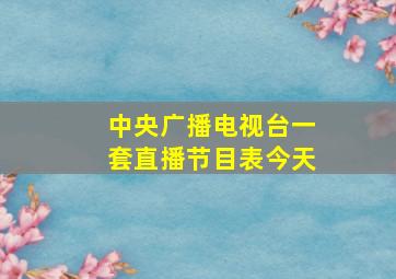 中央广播电视台一套直播节目表今天