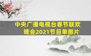 中央广播电视台春节联欢晚会2021节目单图片