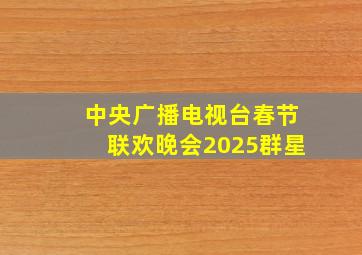 中央广播电视台春节联欢晚会2025群星