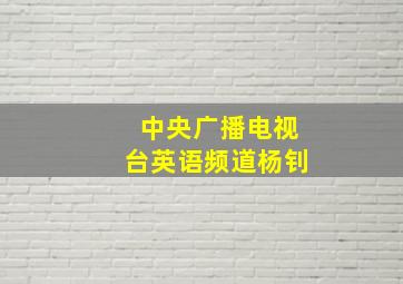 中央广播电视台英语频道杨钊