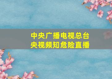 中央广播电视总台央视频知危险直播