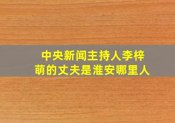 中央新闻主持人李梓萌的丈夫是淮安哪里人