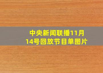 中央新闻联播11月14号回放节目单图片