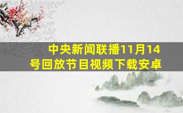 中央新闻联播11月14号回放节目视频下载安卓