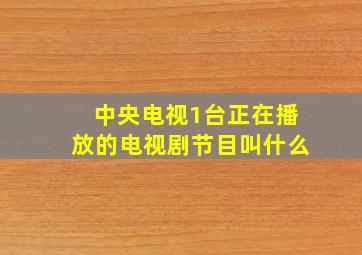 中央电视1台正在播放的电视剧节目叫什么