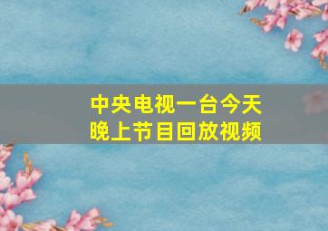 中央电视一台今天晚上节目回放视频