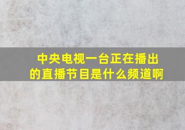 中央电视一台正在播出的直播节目是什么频道啊