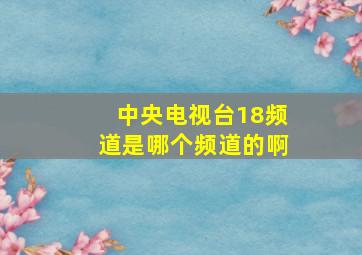 中央电视台18频道是哪个频道的啊