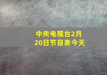 中央电视台2月20日节目表今天