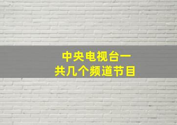 中央电视台一共几个频道节目