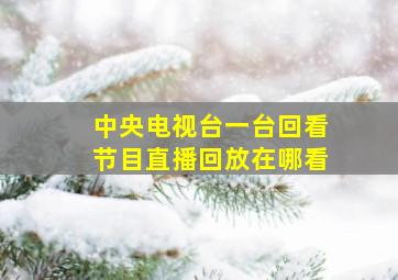 中央电视台一台回看节目直播回放在哪看