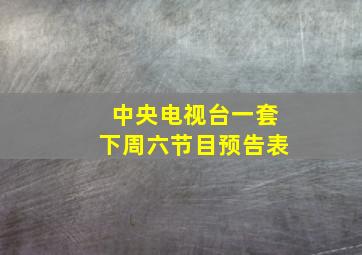 中央电视台一套下周六节目预告表