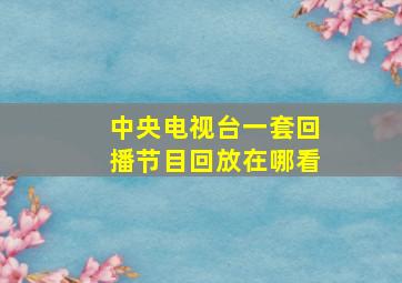 中央电视台一套回播节目回放在哪看