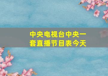 中央电视台中央一套直播节目表今天