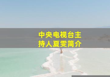 中央电视台主持人夏雯简介