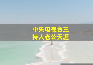 中央电视台主持人老公天涯