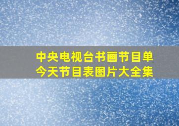 中央电视台书画节目单今天节目表图片大全集