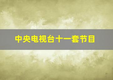 中央电视台十一套节目