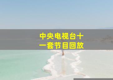 中央电视台十一套节目回放