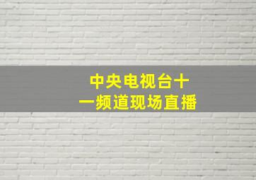 中央电视台十一频道现场直播