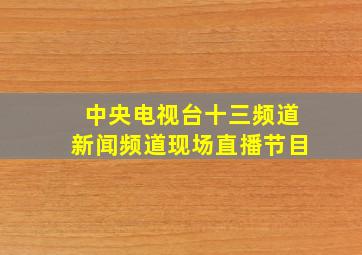 中央电视台十三频道新闻频道现场直播节目