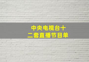 中央电视台十二套直播节目单