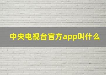 中央电视台官方app叫什么