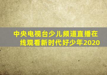 中央电视台少儿频道直播在线观看新时代好少年2020