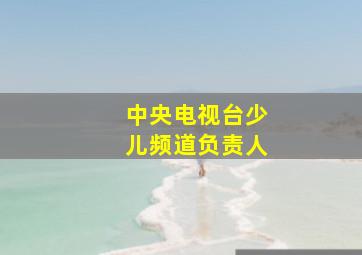 中央电视台少儿频道负责人