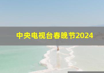 中央电视台春晚节2024