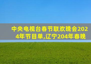 中央电视台春节联欢晚会2024年节目单,辽宁204年春晚