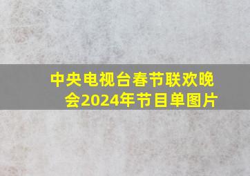 中央电视台春节联欢晚会2024年节目单图片