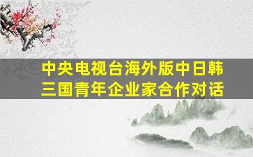 中央电视台海外版中日韩三国青年企业家合作对话