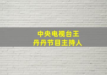 中央电视台王丹丹节目主持人