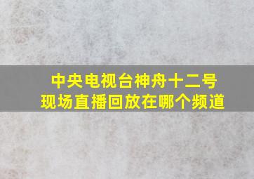 中央电视台神舟十二号现场直播回放在哪个频道