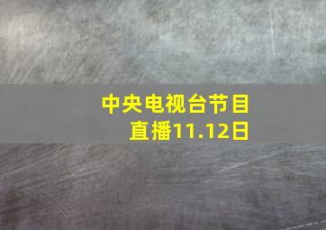 中央电视台节目直播11.12日