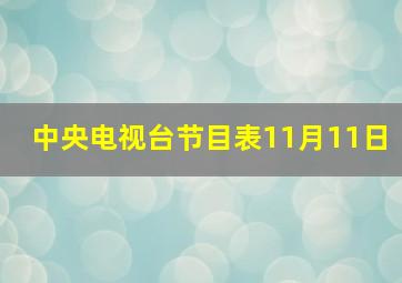 中央电视台节目表11月11日