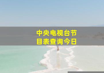 中央电视台节目表查询今日