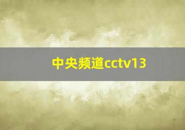 中央频道cctv13