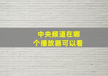 中央频道在哪个播放器可以看