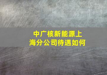 中广核新能源上海分公司待遇如何