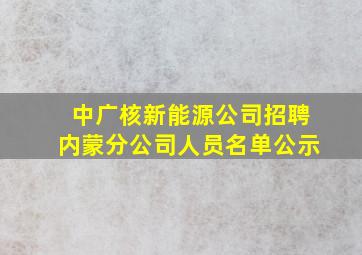 中广核新能源公司招聘内蒙分公司人员名单公示