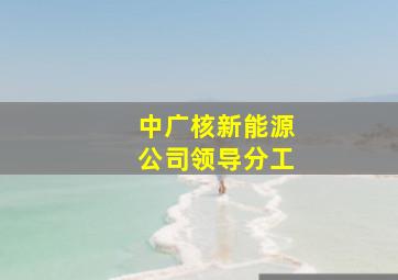 中广核新能源公司领导分工