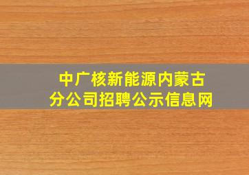 中广核新能源内蒙古分公司招聘公示信息网