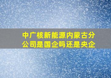 中广核新能源内蒙古分公司是国企吗还是央企