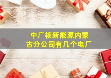 中广核新能源内蒙古分公司有几个电厂