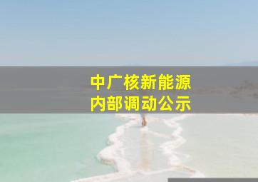 中广核新能源内部调动公示