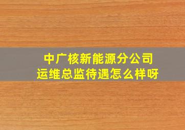 中广核新能源分公司运维总监待遇怎么样呀