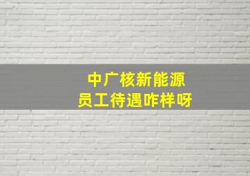 中广核新能源员工待遇咋样呀