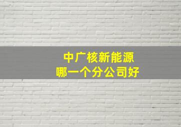 中广核新能源哪一个分公司好